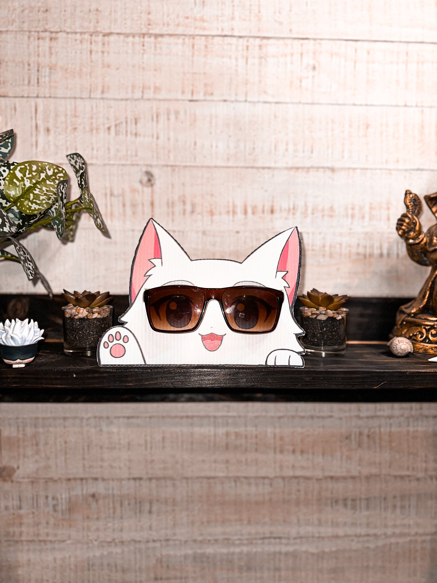 Gatoru Porta Lentes