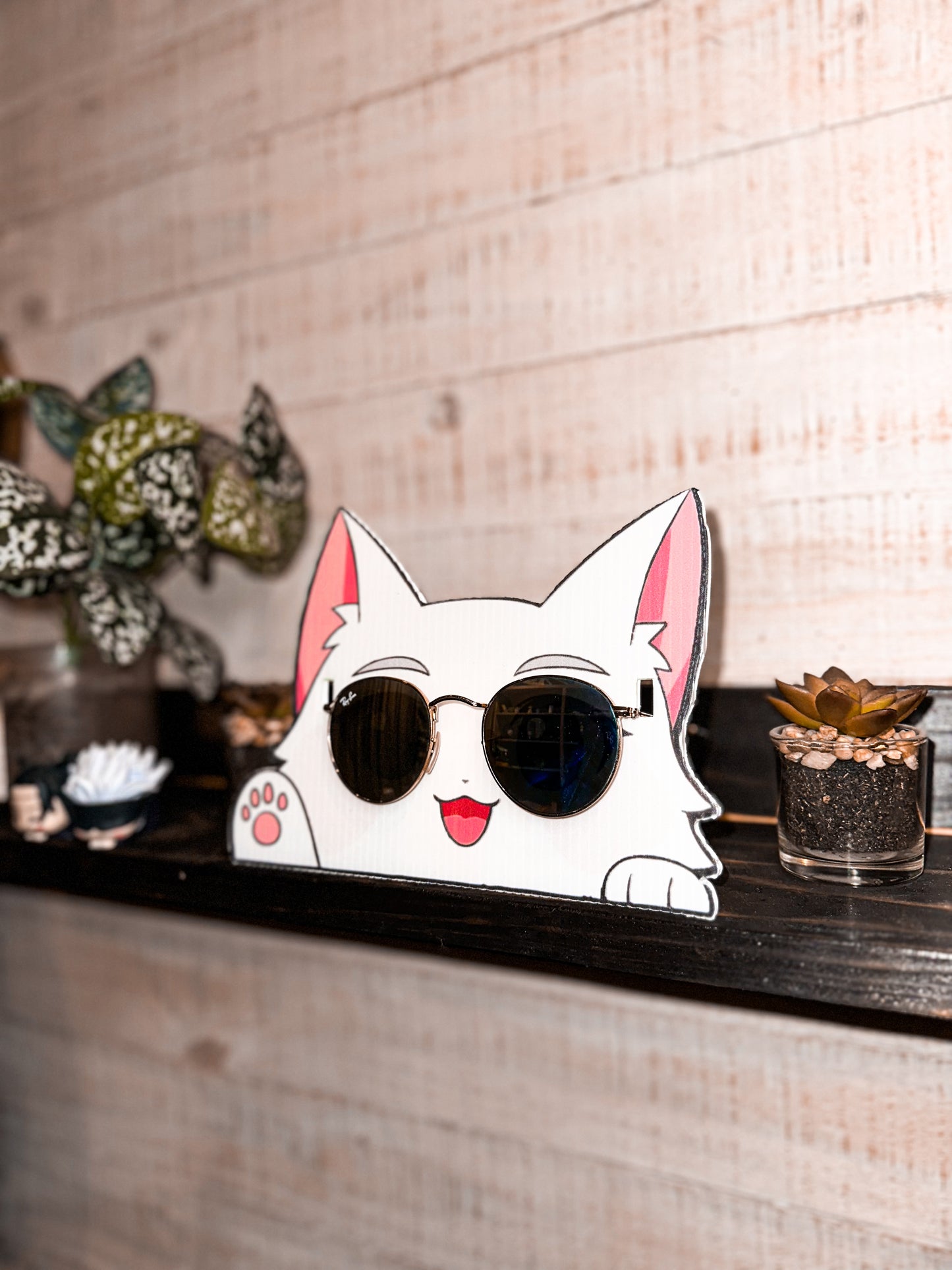 Gatoru Porta Lentes